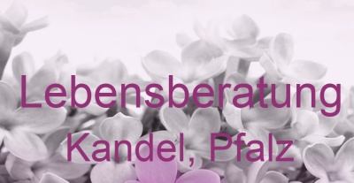 Lebensberatung Kandel, Pfalz | Top-Experten für Kartenlegen, Wahrsagen, Hellsehen, Zukunftsdeutung. Lebensberatung Kandel, Pfalz | Top-Experten für Kartenlegen, Wahrsagen, Hellsehen, Zukunftsdeutung.